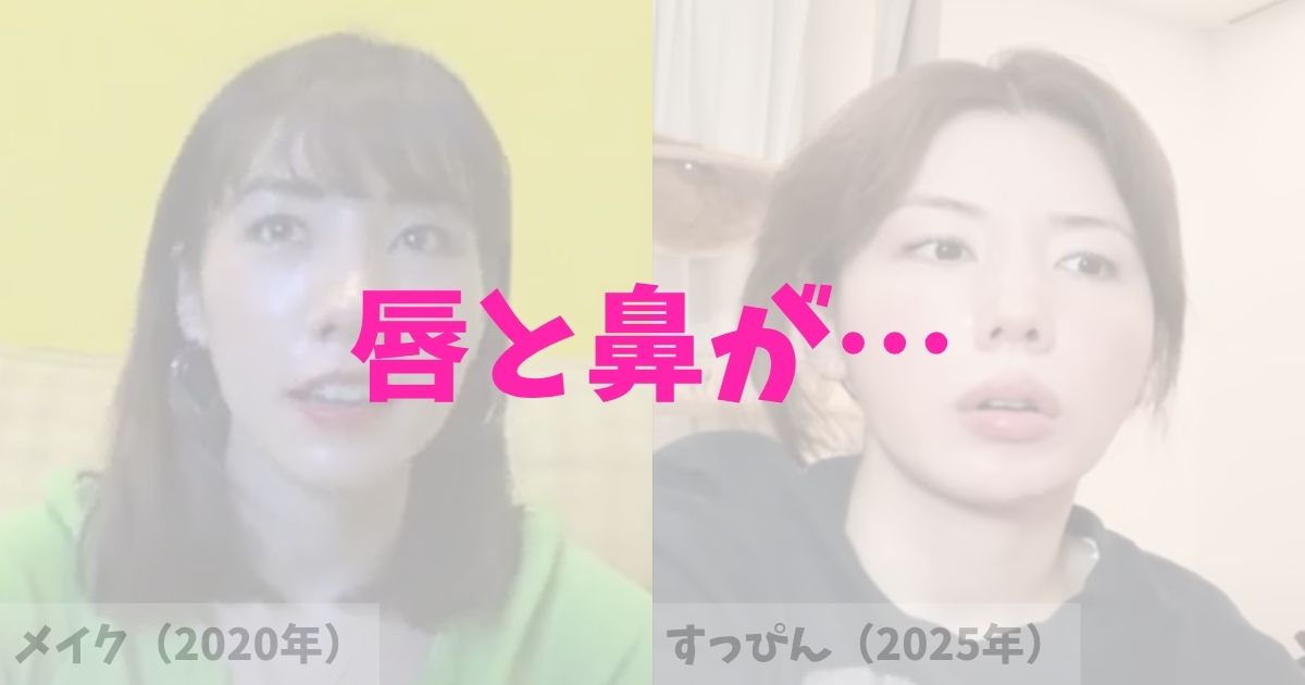 仲里依紗の鼻と唇が変わった理由は整形？の記事