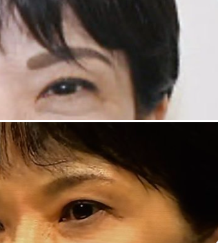 昔と現在の高市早苗さんの眉毛の比較画像