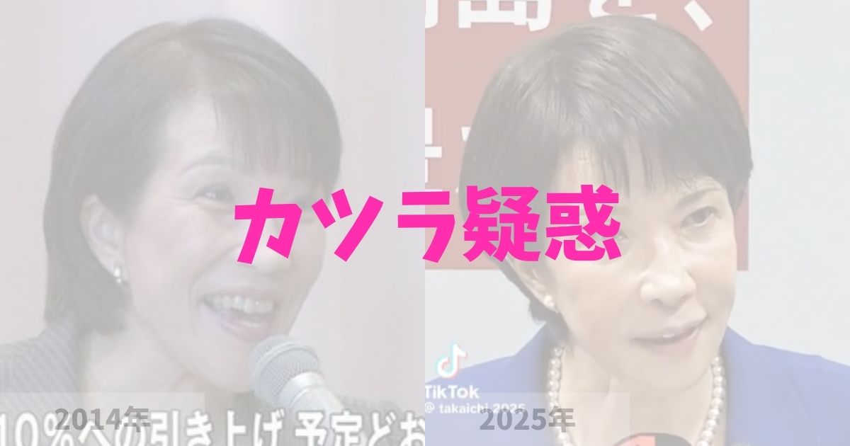 高市早苗はカツラ(ウィッグ)なの?の記事